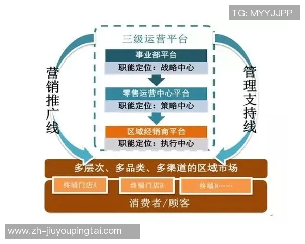 实时新闻深度分析重庆排球队的运营策略与市场推广模式